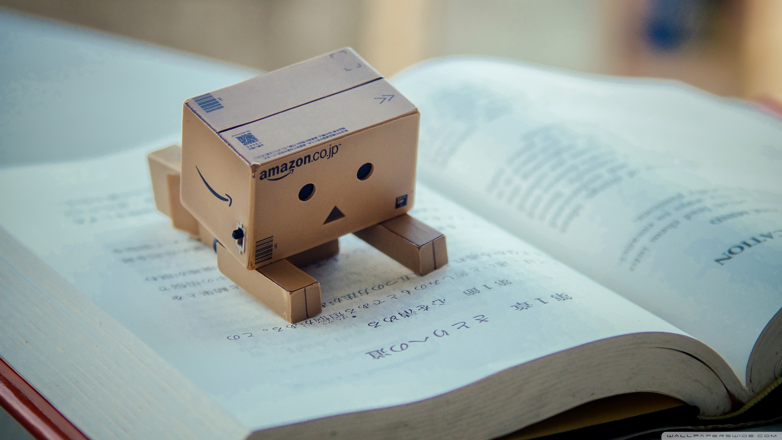Danbo Reading Book - HD Wallpaper 