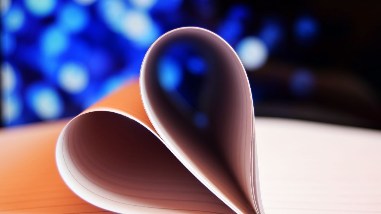 Nature Top Whatsapp Dp - HD Wallpaper 