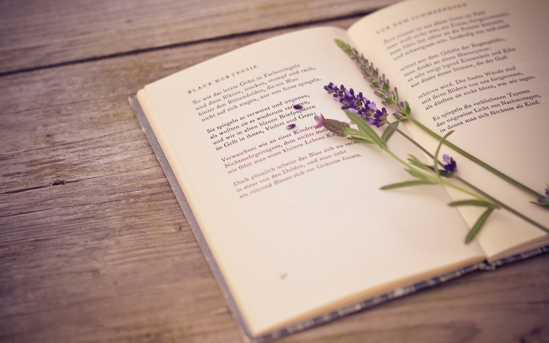 Book Wallpaper Hd 5617 
 Data-src - Book Desktop Background - HD Wallpaper 