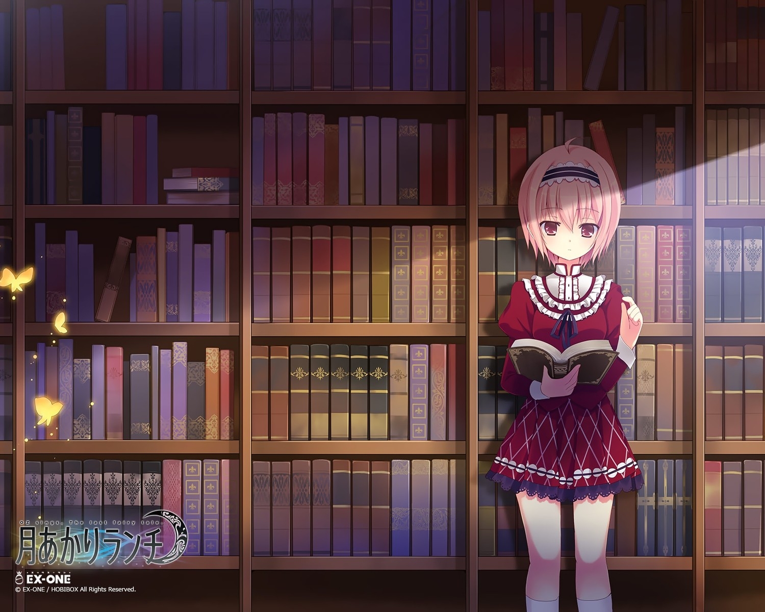 Book Shelf In Anime - HD Wallpaper 