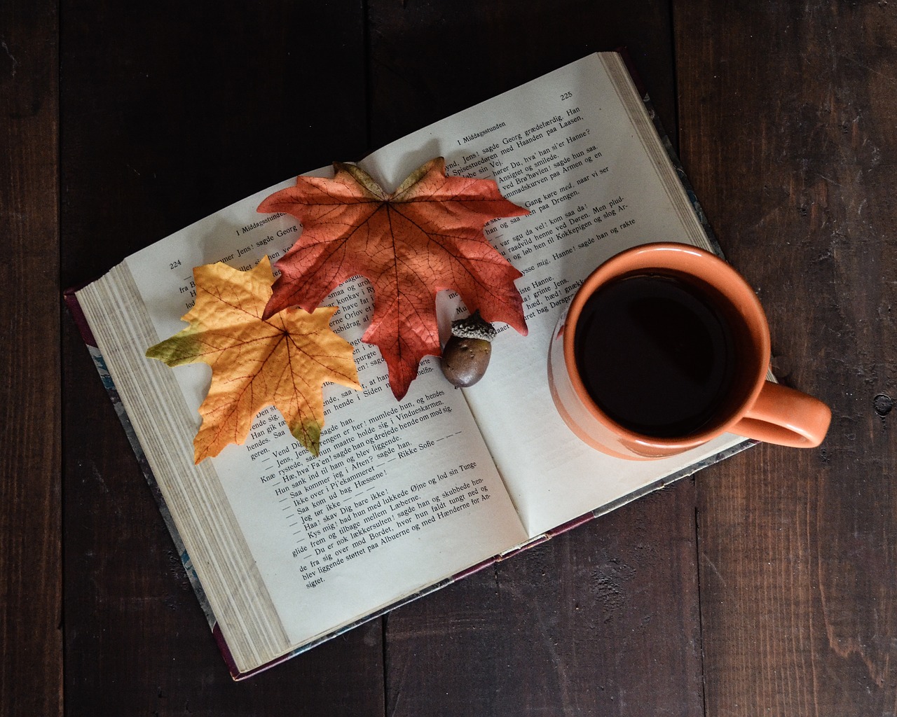 Open Book Book Mug Free Photo - Fall Leaf And Book - HD Wallpaper 