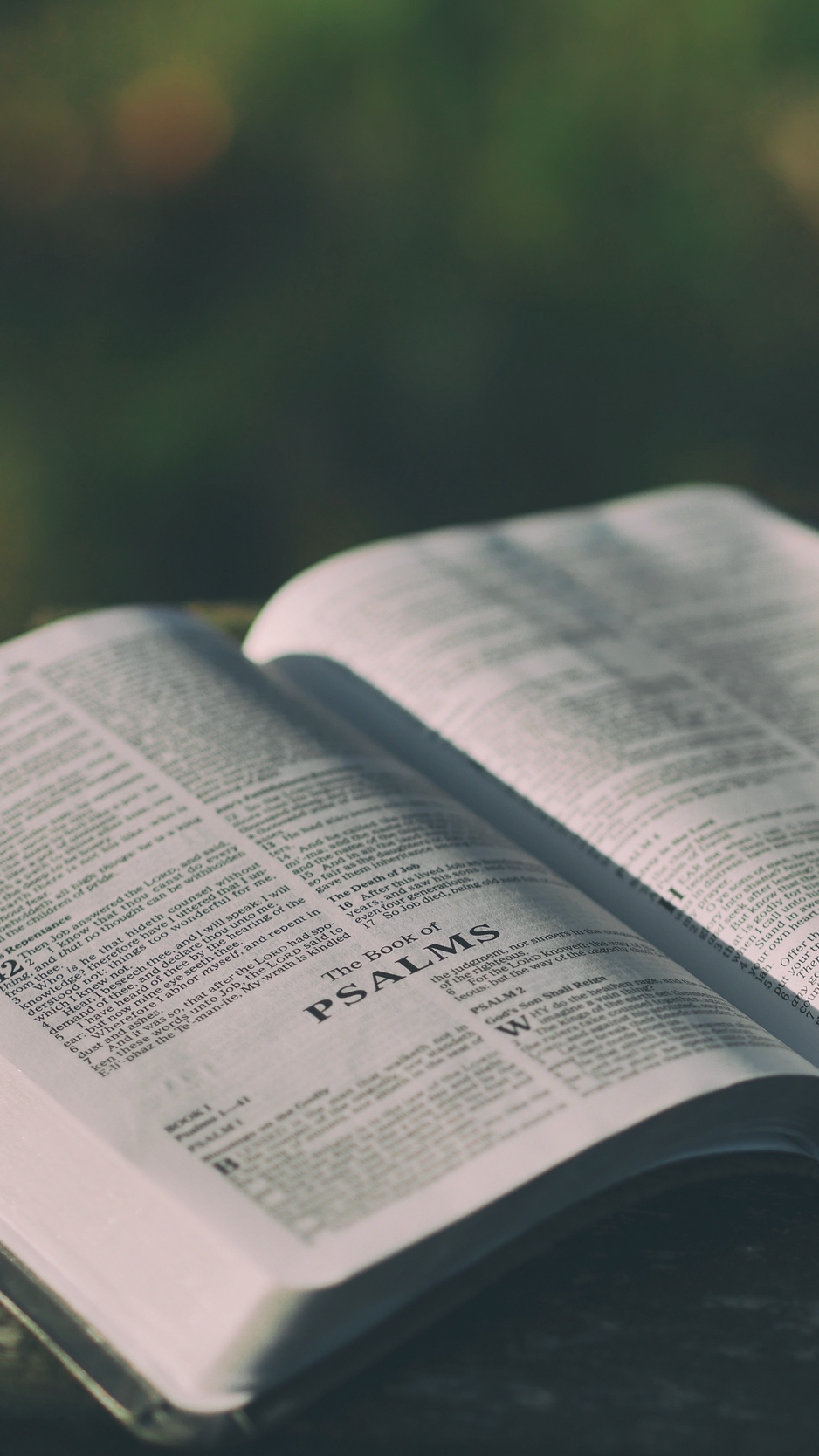 Wallpaper Book, Reading, Inspiration - Book Hd - HD Wallpaper 