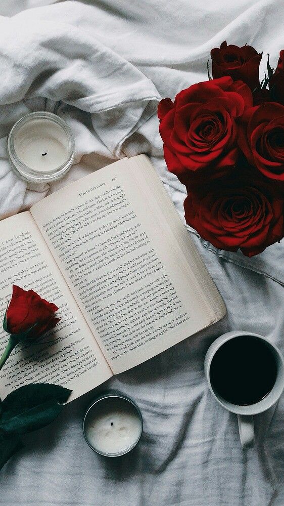 Red Flower On A Book - HD Wallpaper 
