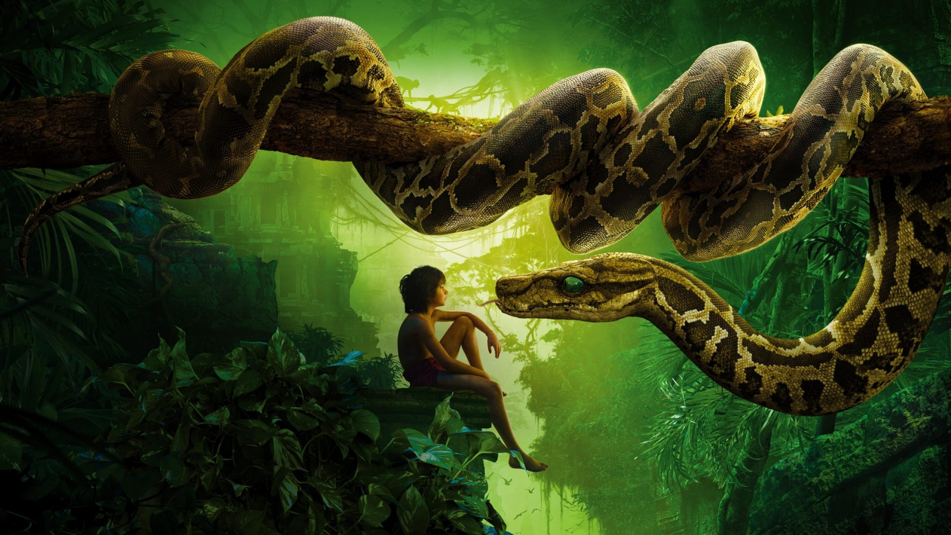 Jungle Book Movie 1920 X 1080 Need Iphone S Plus Background - El Libro De La Selva Kaa - HD Wallpaper 