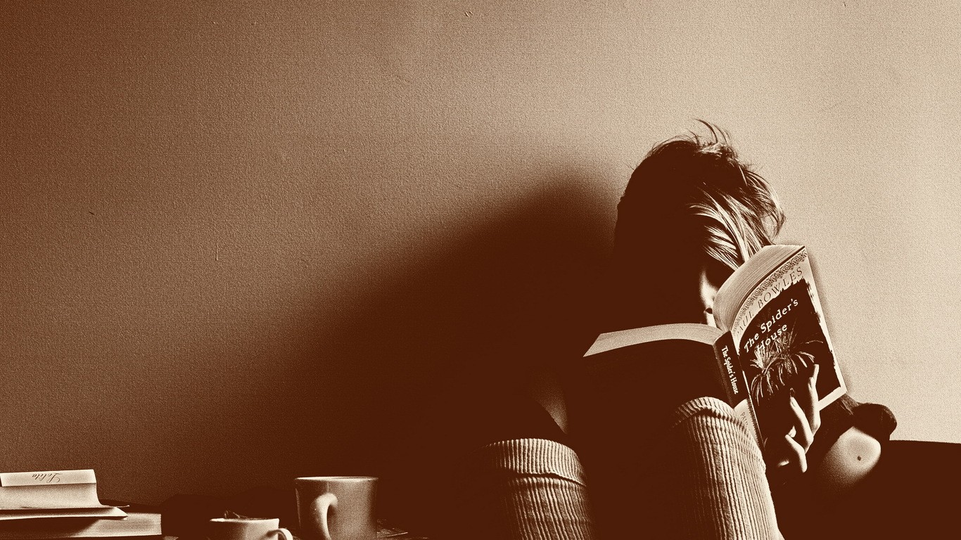 Woman Reading Books Women Reading Wallpaper - Book Reading - HD Wallpaper 