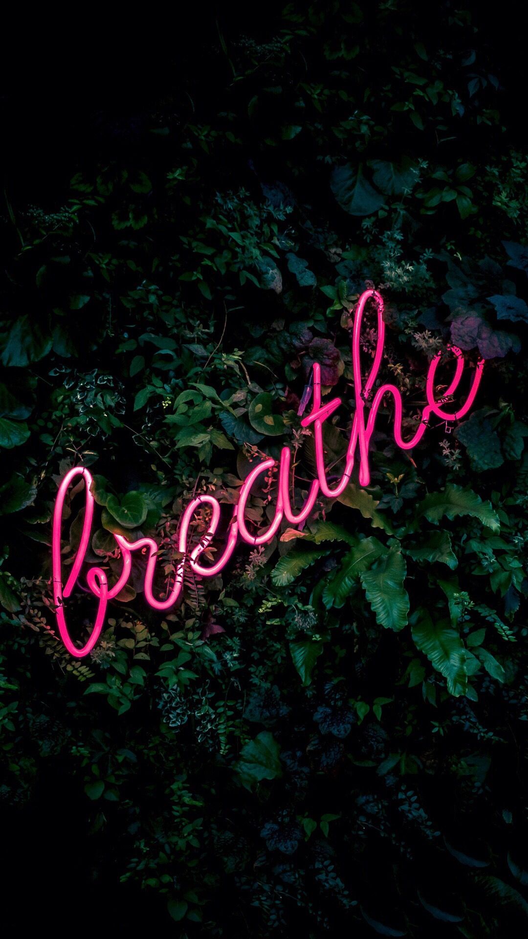 Neon Sign Iphone Wallpaper Hd - HD Wallpaper 