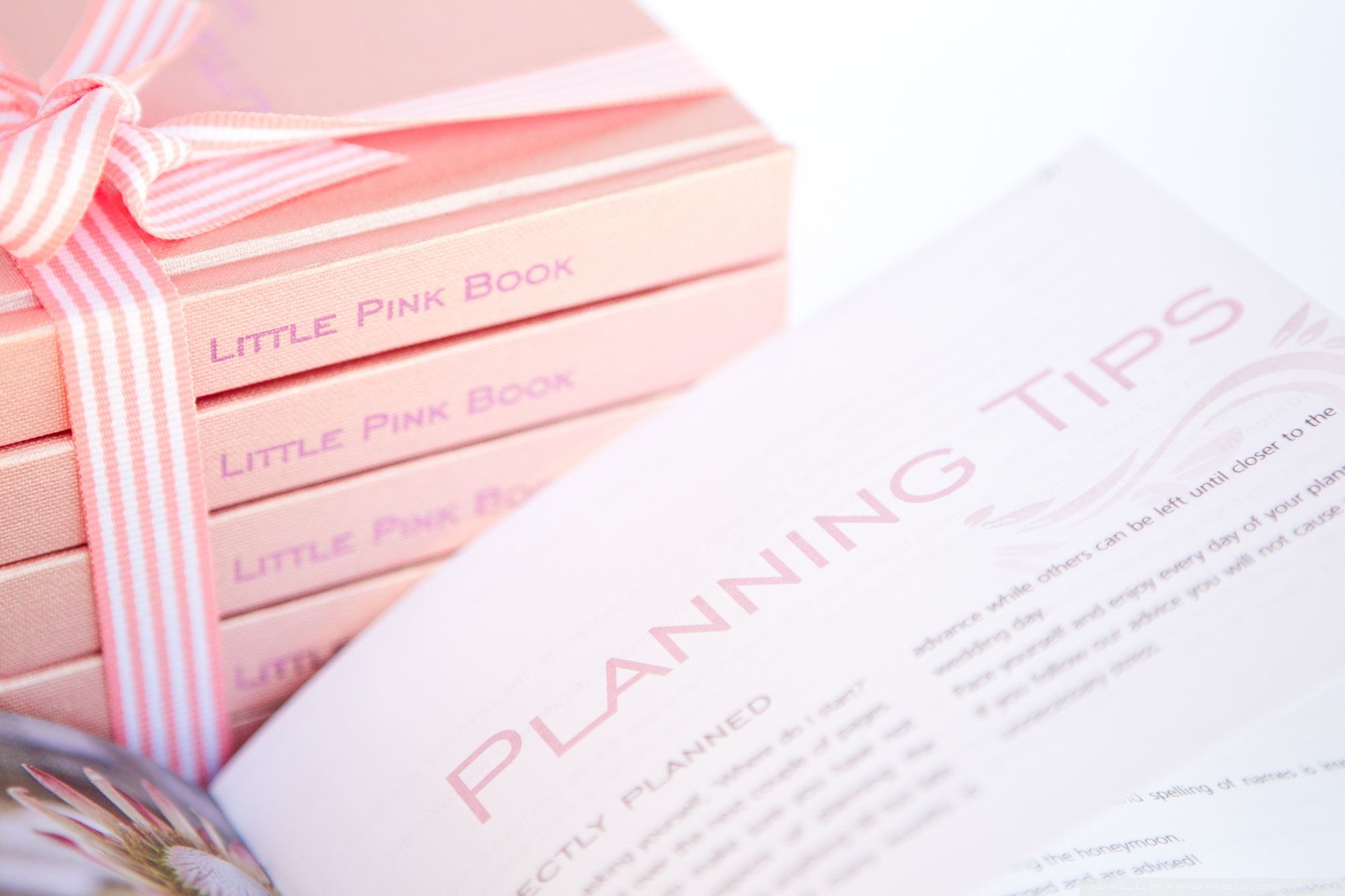 Cute Pink Iphone - HD Wallpaper 