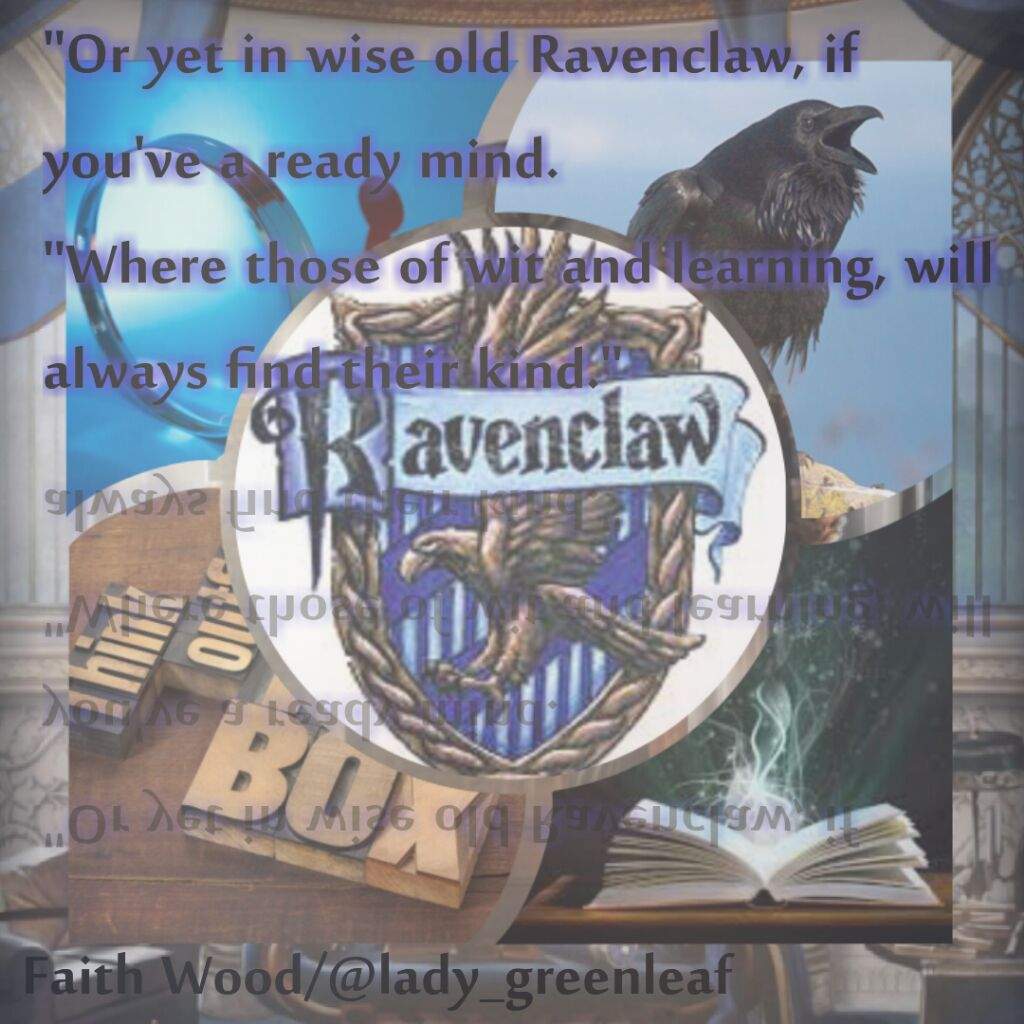 User Uploaded Image - Shorebird - HD Wallpaper 