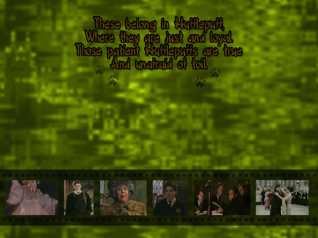 Hufflepuff - Slytherin - HD Wallpaper 
