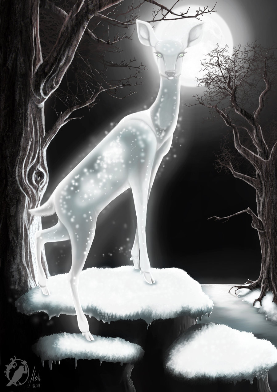 Always - Snow - HD Wallpaper 