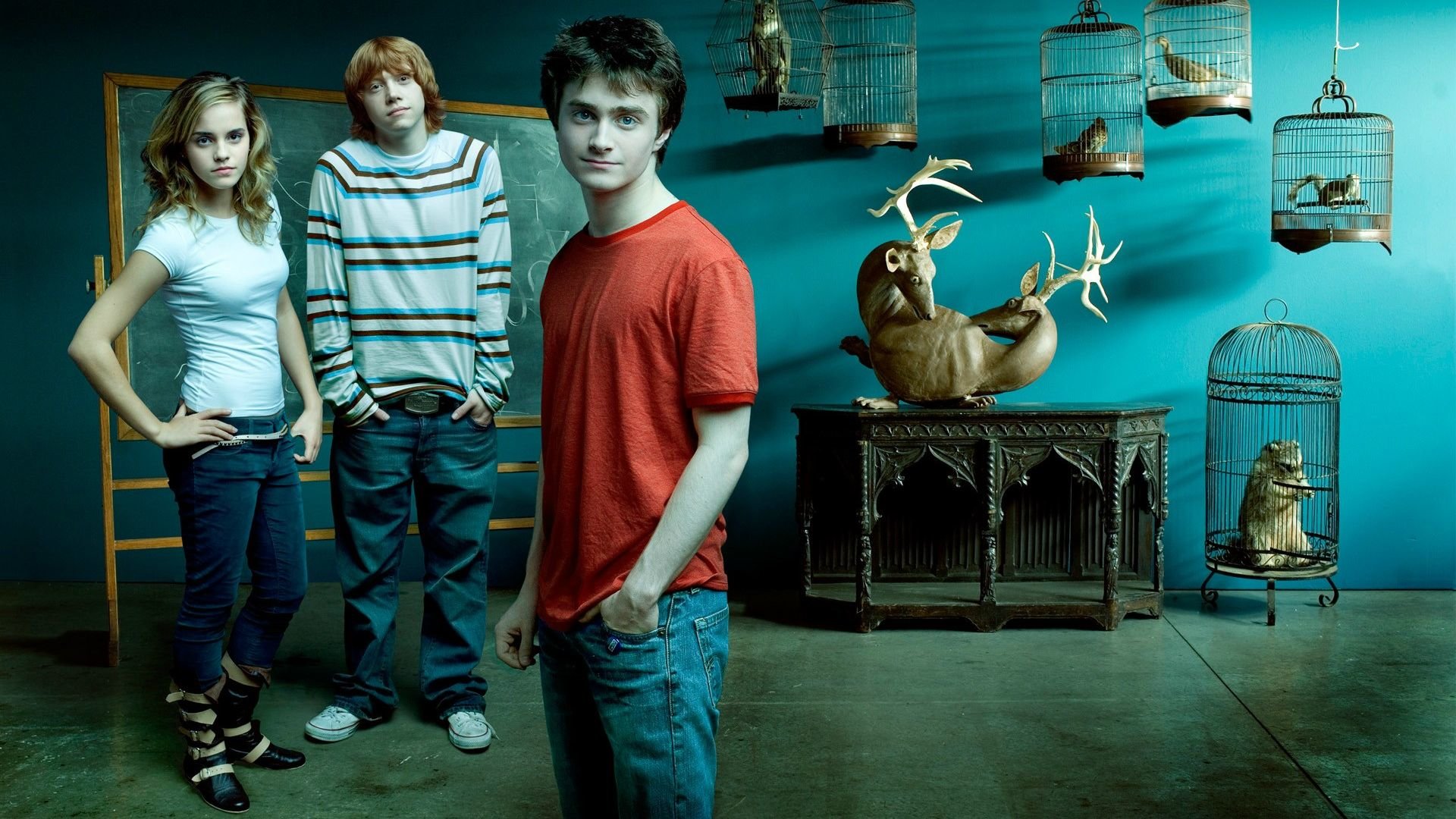 Free Harry Potter High Quality Wallpaper Id - Harry Potter Cast Background - HD Wallpaper 