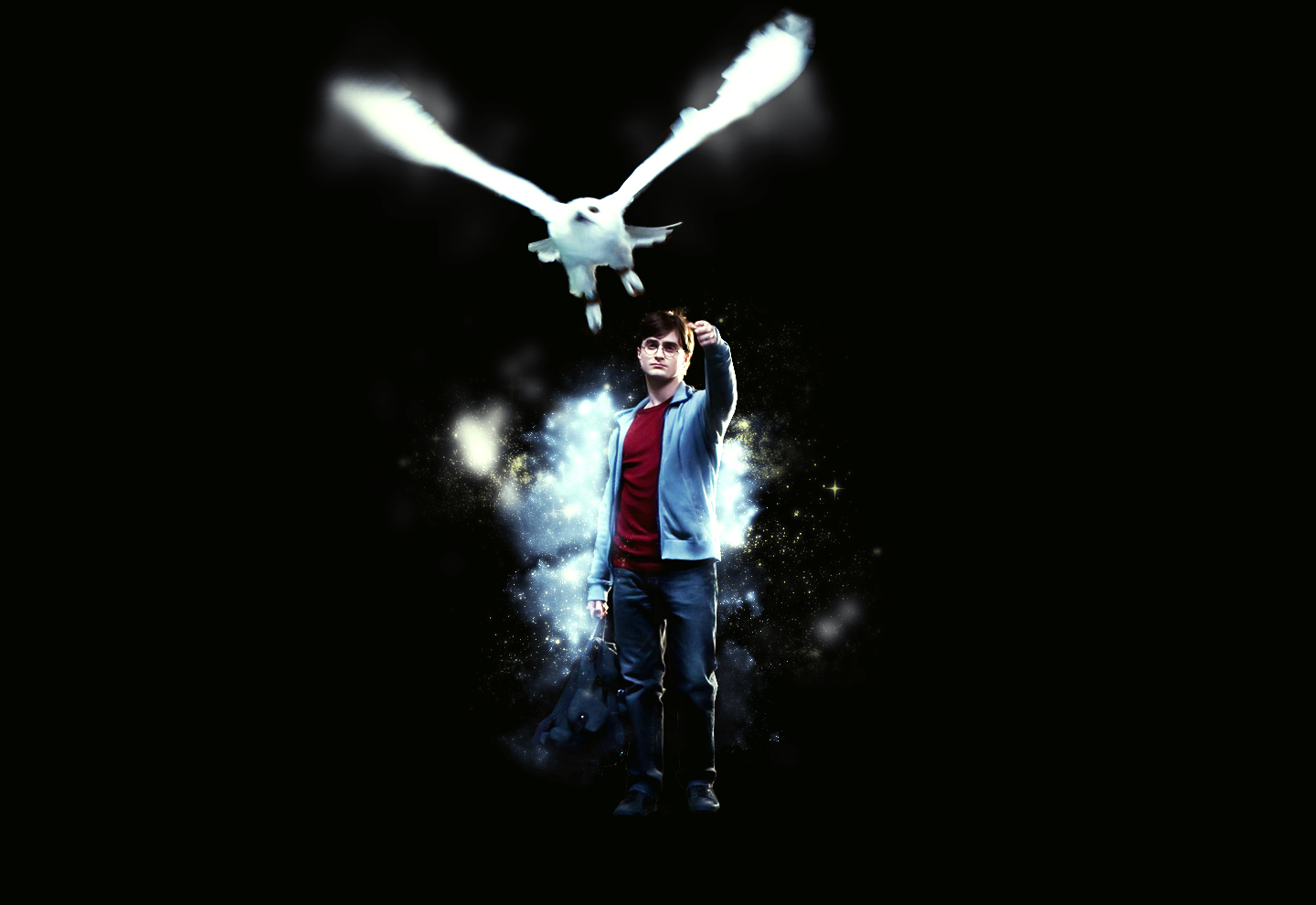 Background Harry Potter Hedwig - HD Wallpaper 