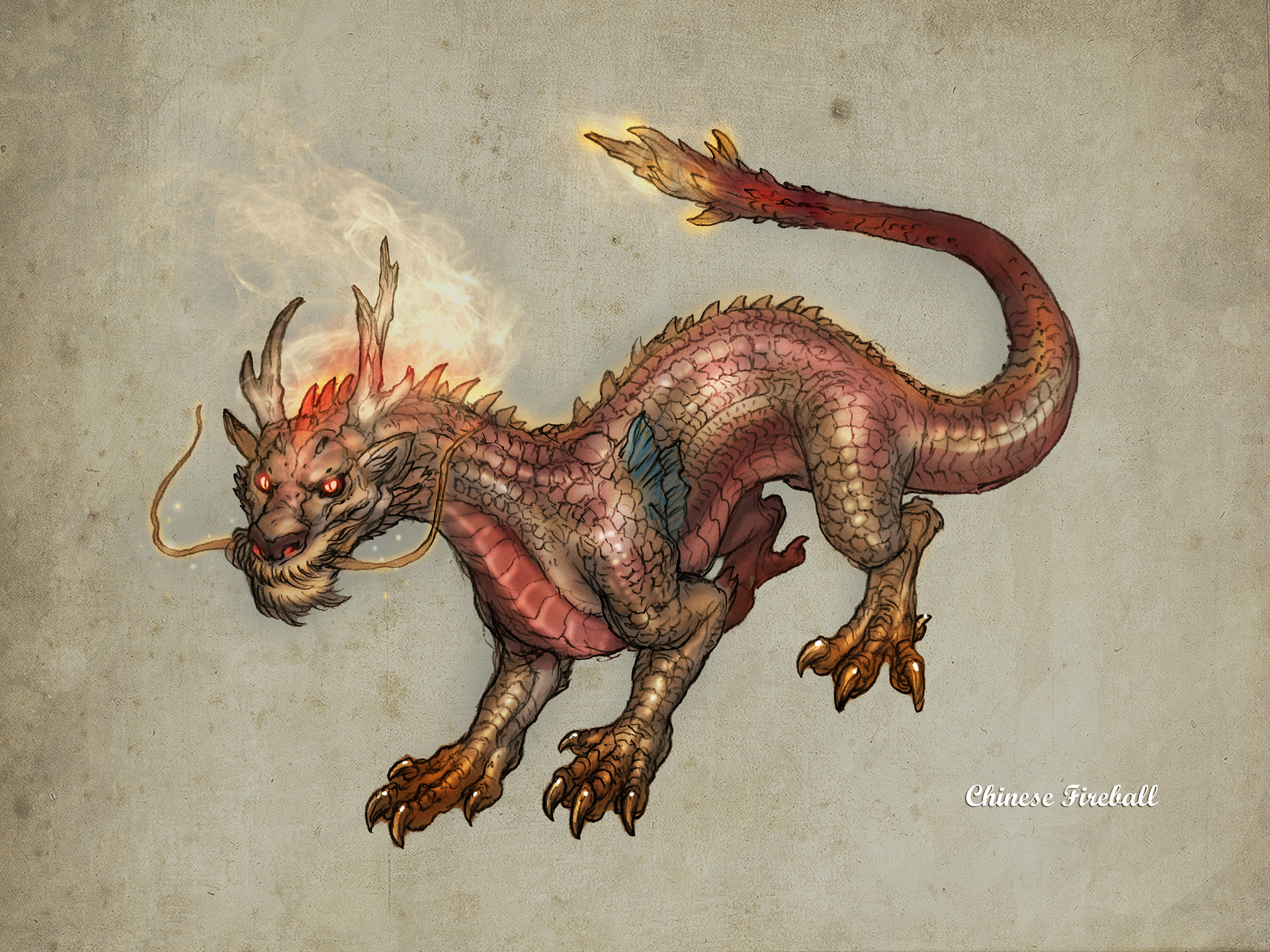 Dragon - HD Wallpaper 