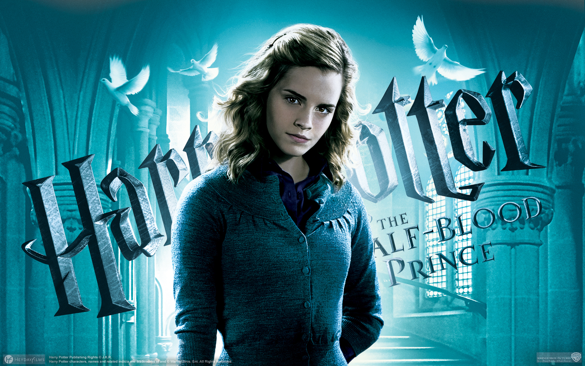 Harry Potter Hermione Granger Hd - HD Wallpaper 