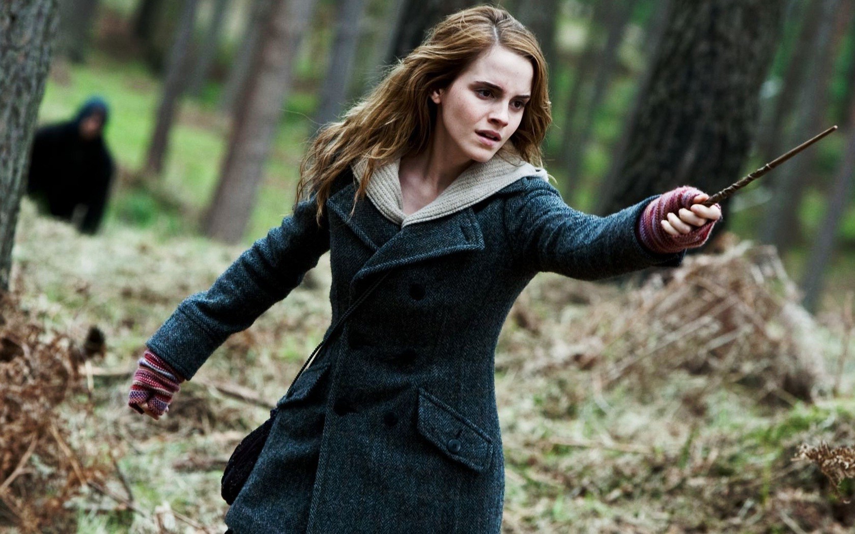 Hermione Granger Harry Potter And The Deathly Hallows - HD Wallpaper 