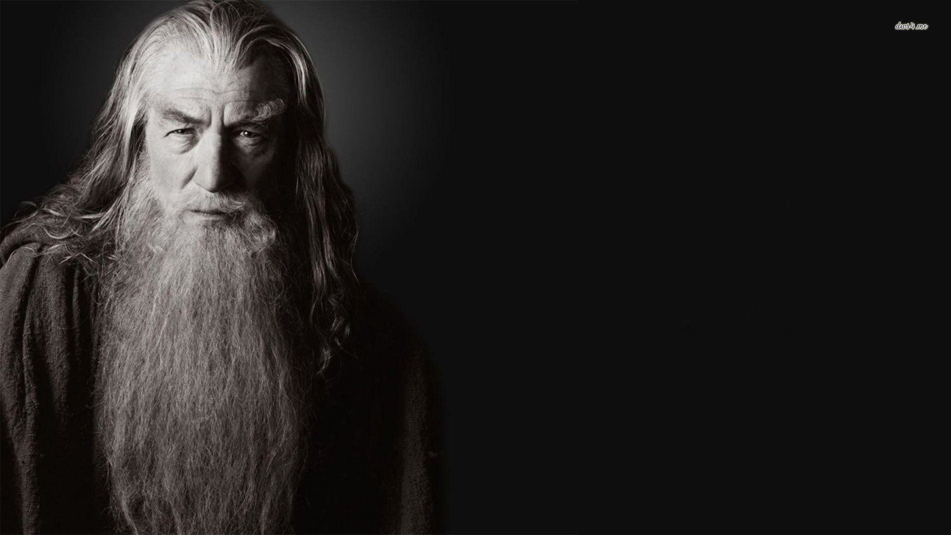 Harry Potter Movie Wallpaper - HD Wallpaper 