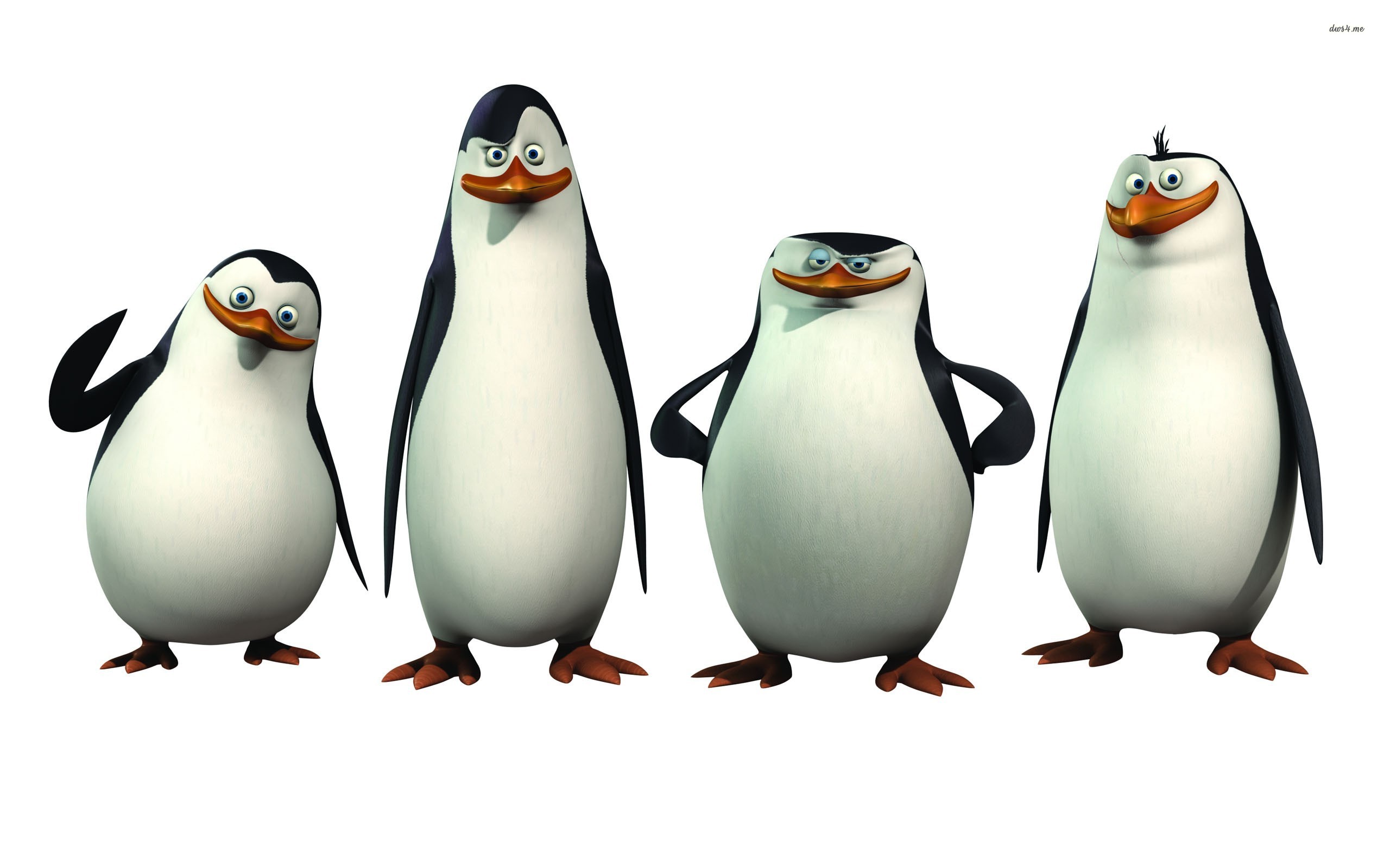 Penguins Madagascar Png - HD Wallpaper 