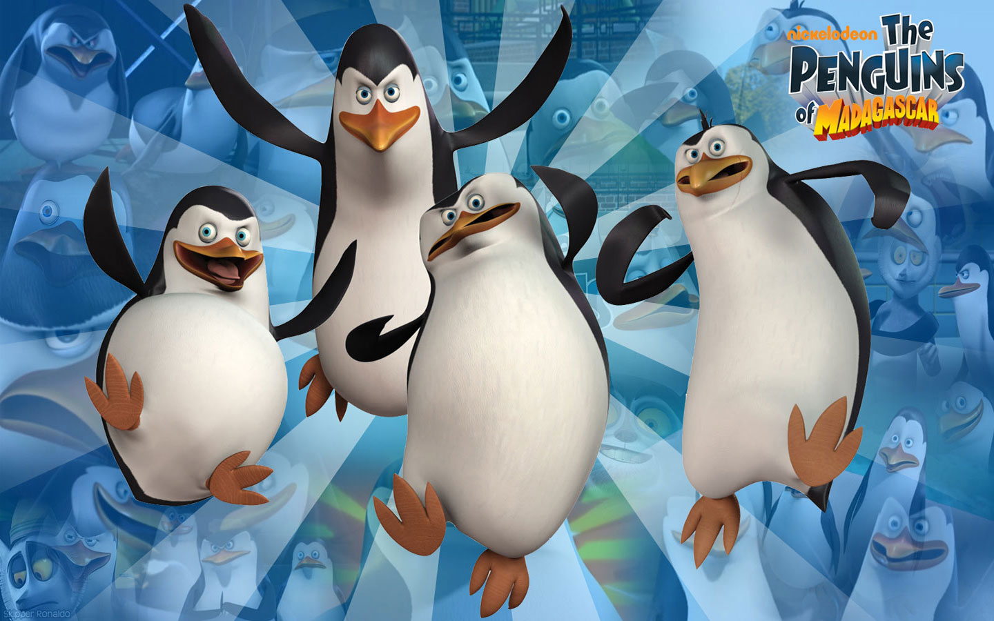 Penguins Of Madagascar Background - HD Wallpaper 