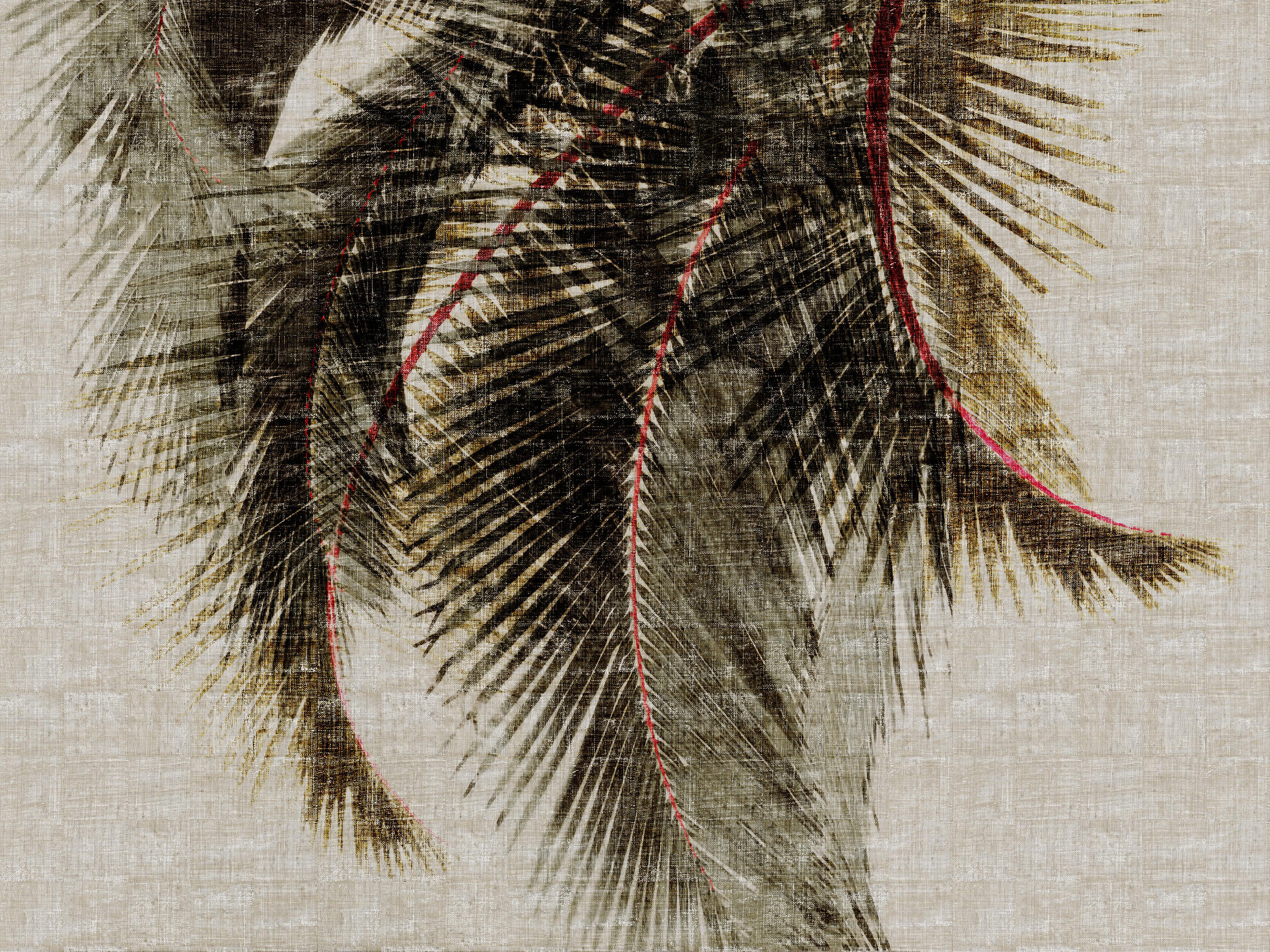 Elitis Raffia & Madagascar Cuba Libre - HD Wallpaper 