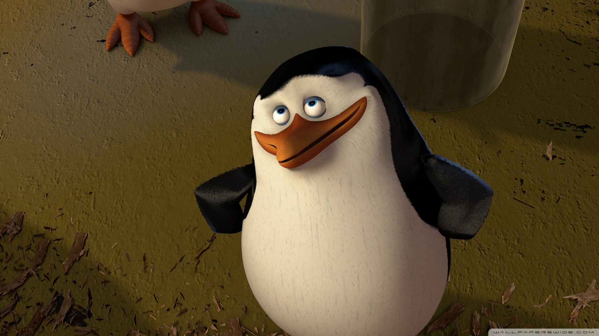 Madagascar 3 Penguins - HD Wallpaper 