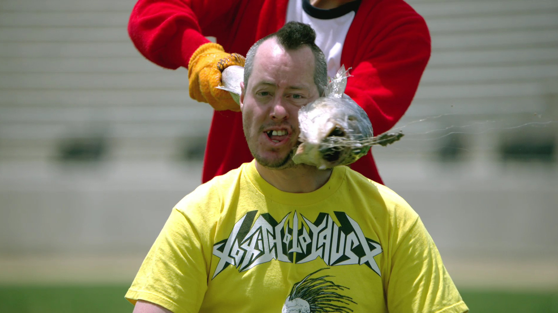 Gif Jackass 19x1080 Wallpaper Teahub Io Gif Jackass 19x1080 Wallpaper Teahub Io