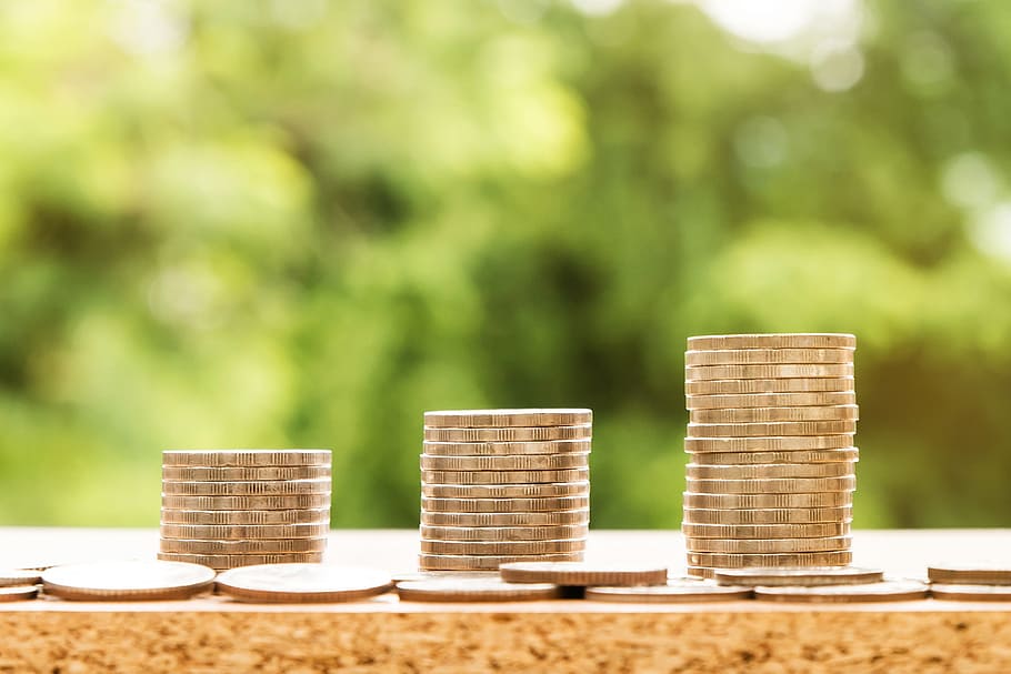 Three Stacks Of Coins, Money, Finance, Business, Success, - Coins With Plants - HD Wallpaper 