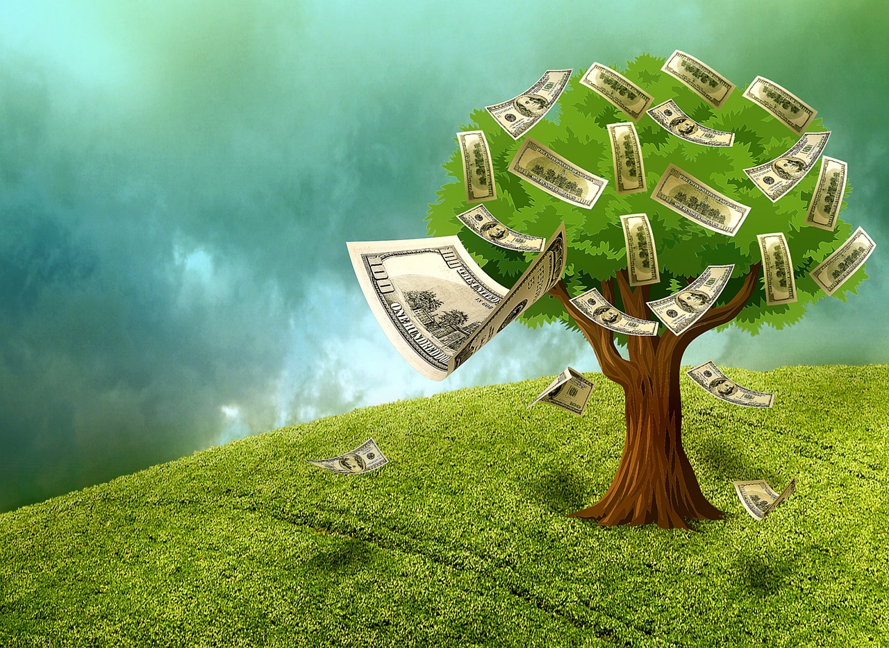 Plant,investment,capital Background,grow Worthiness,please,dollar - Money Falling From Trees - HD Wallpaper 