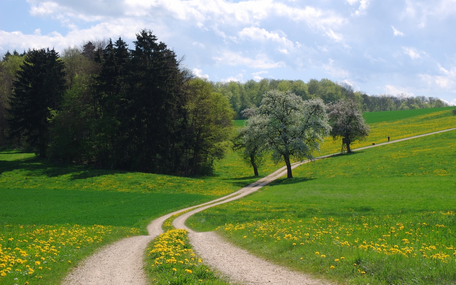 Nature Original Landscape Painting - HD Wallpaper 