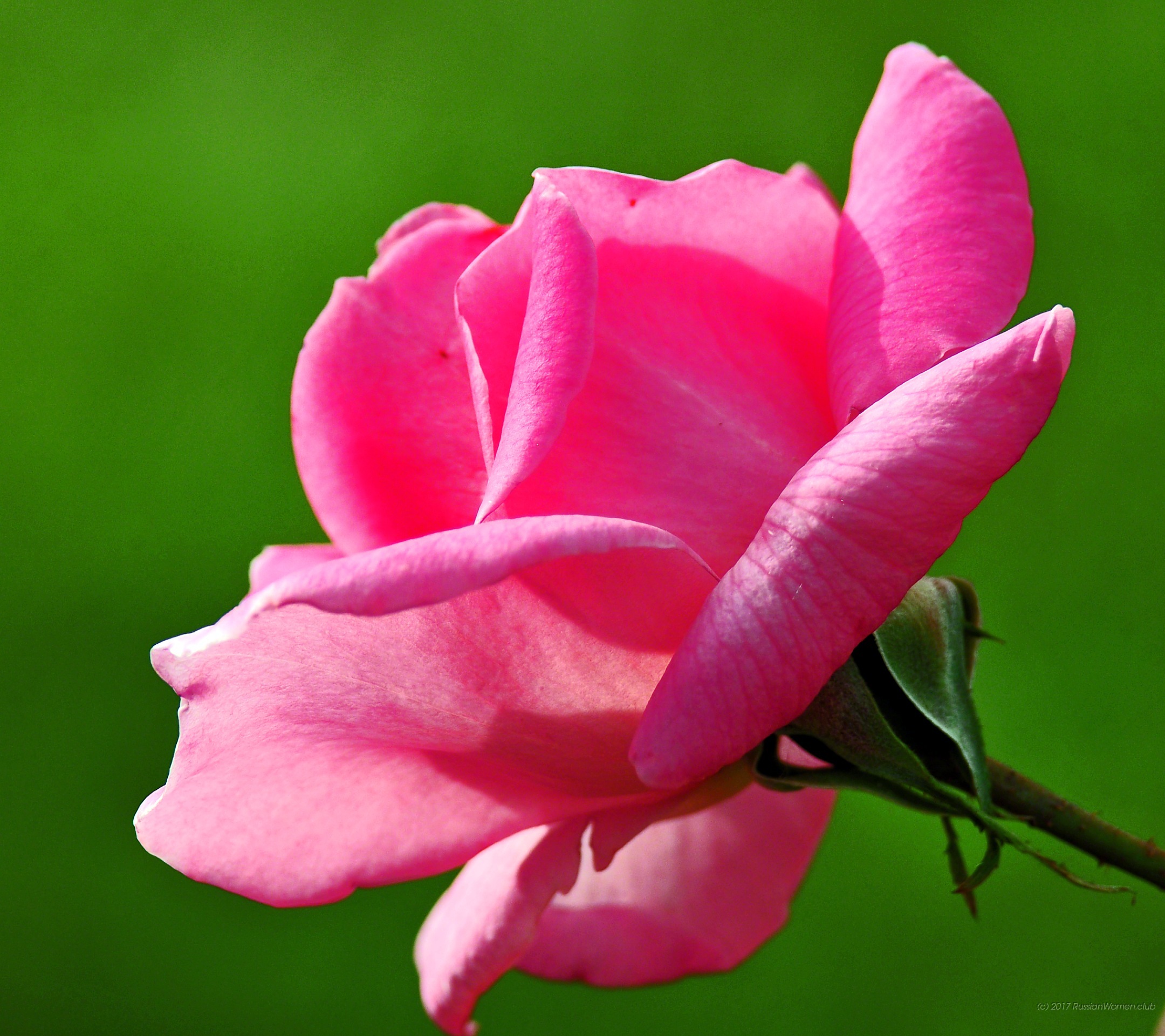 Vivo X9 Plus - Wallpaper - HD Wallpaper 