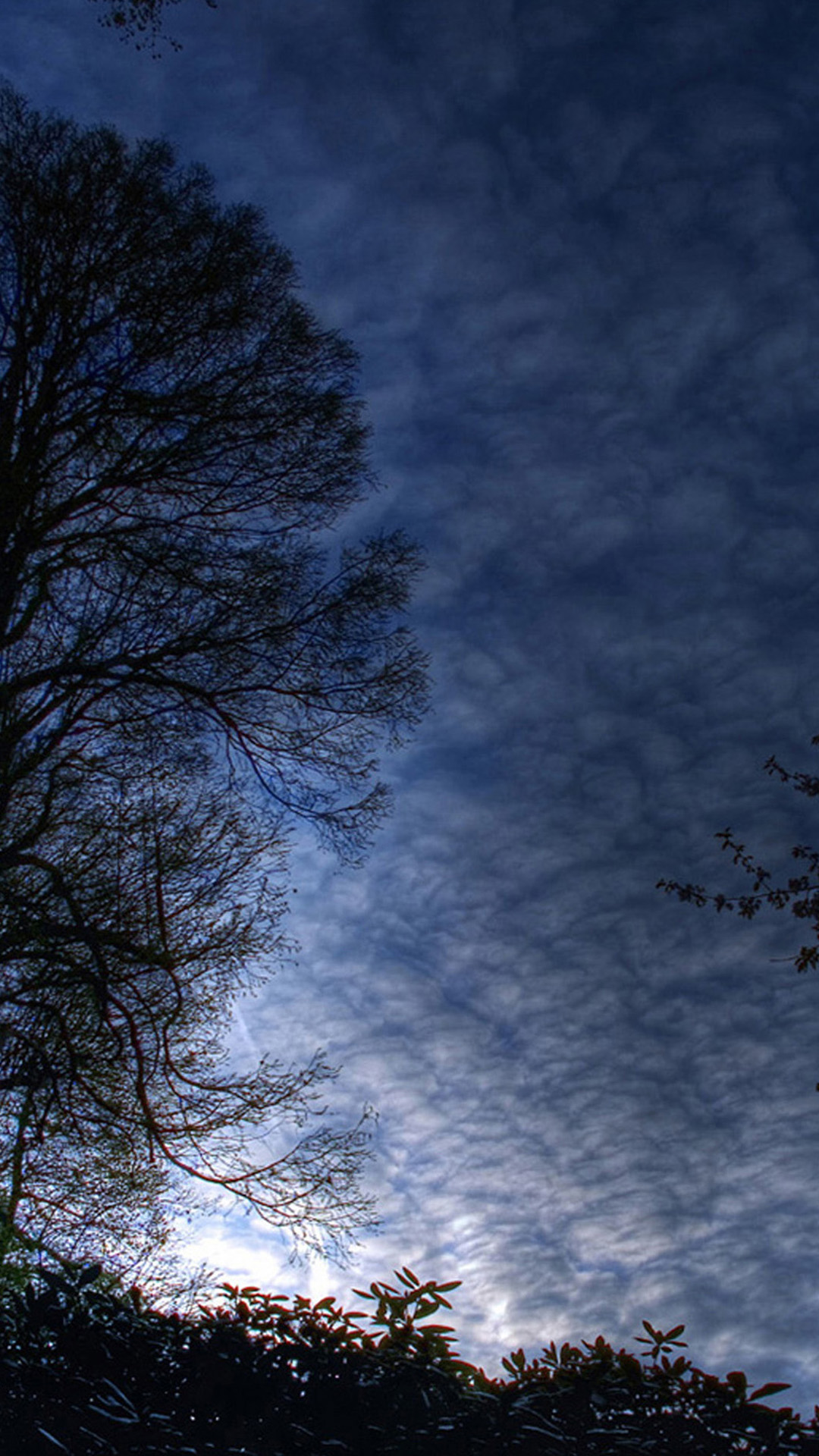 Htc Hd Wallpaper - HD Wallpaper 