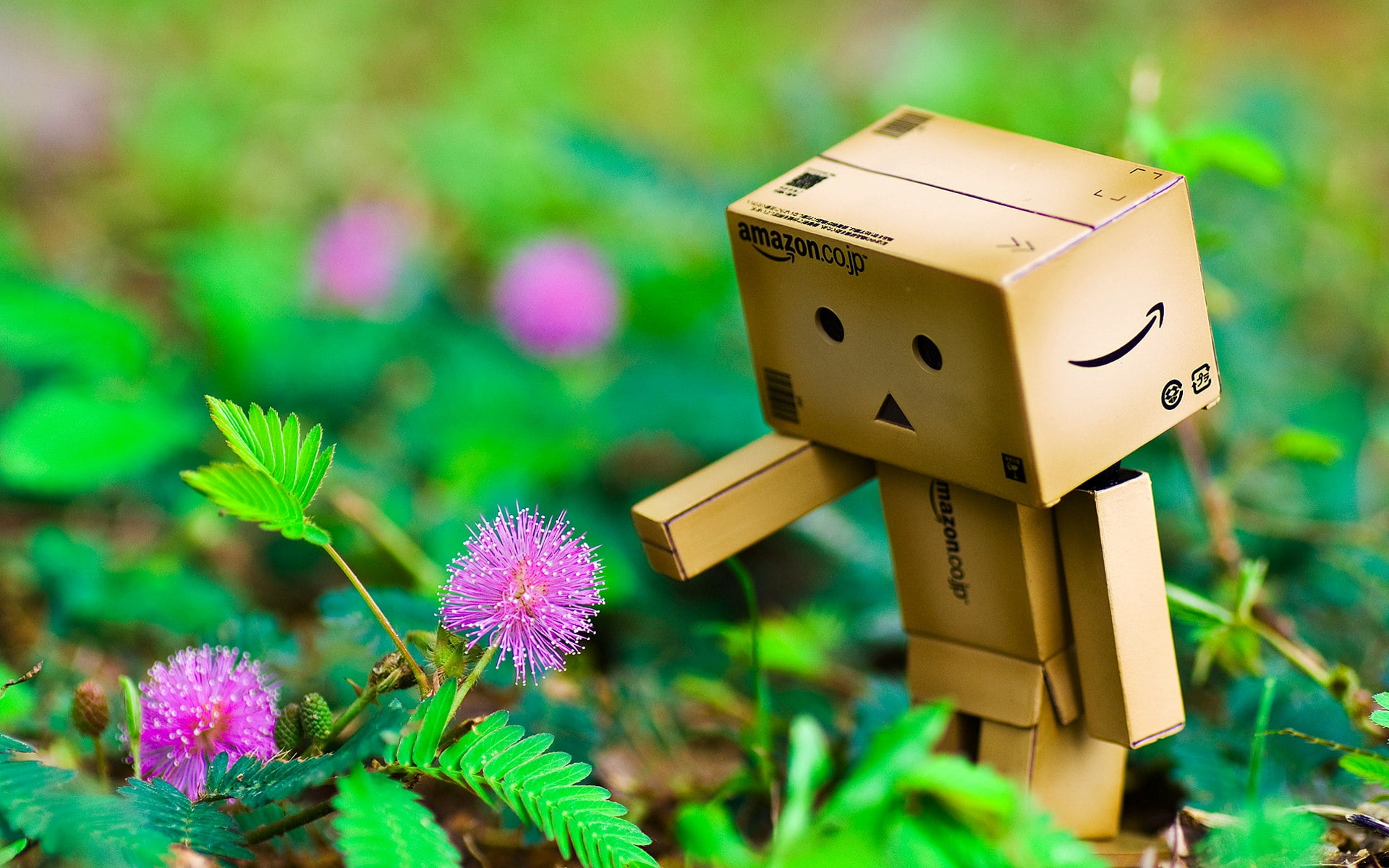 Cardboard Figure Standing In Front Of Purple Flowers - Amazon Box - HD Wallpaper 
