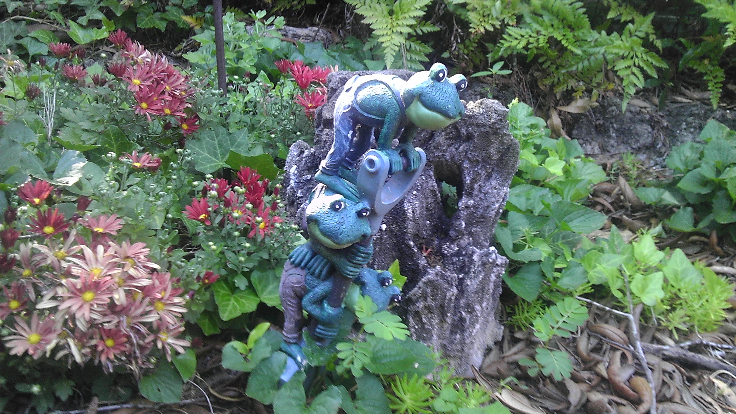 Evo 3d Camera Test - Botanical Garden - HD Wallpaper 