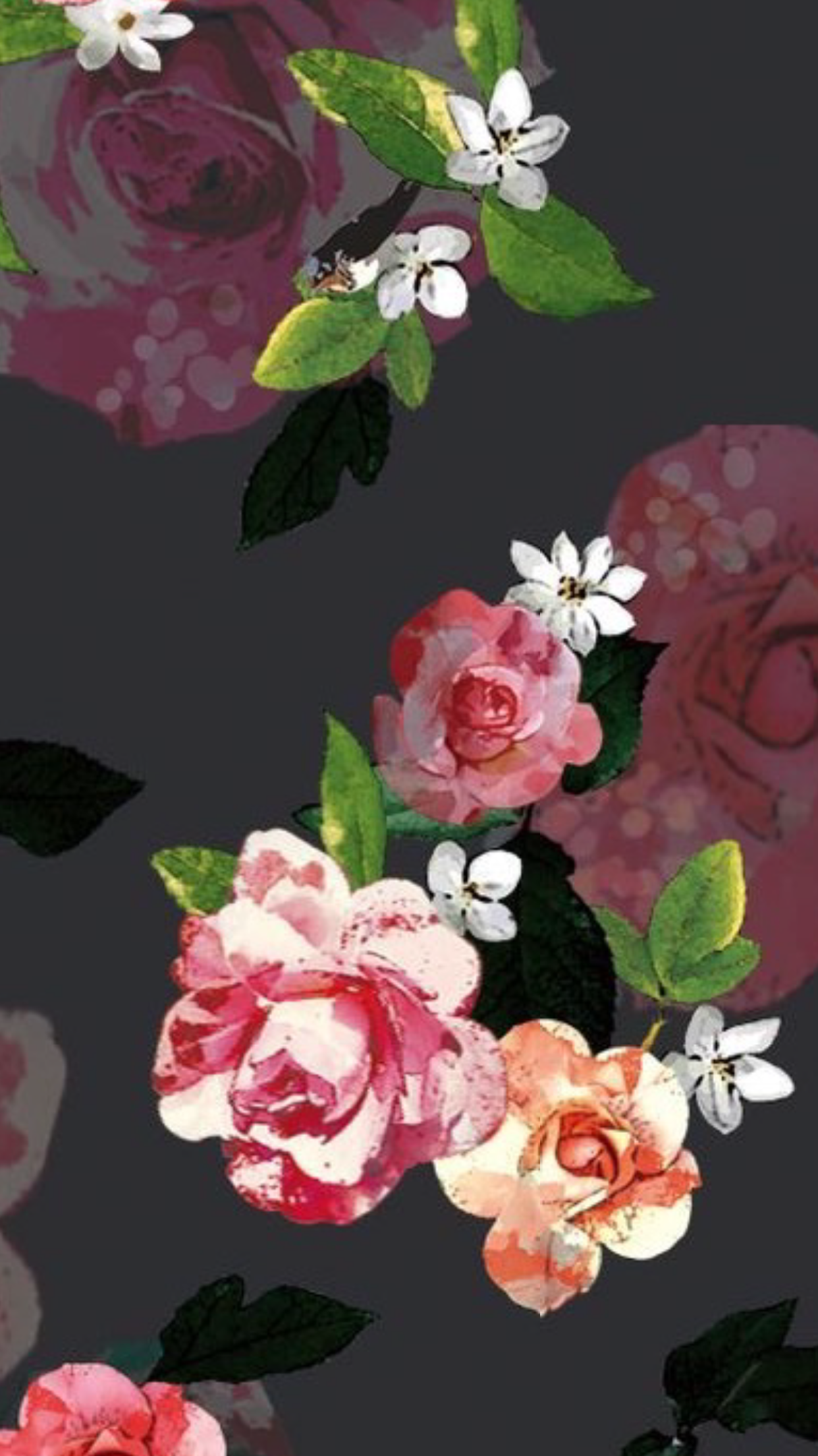 Garden Roses - HD Wallpaper 