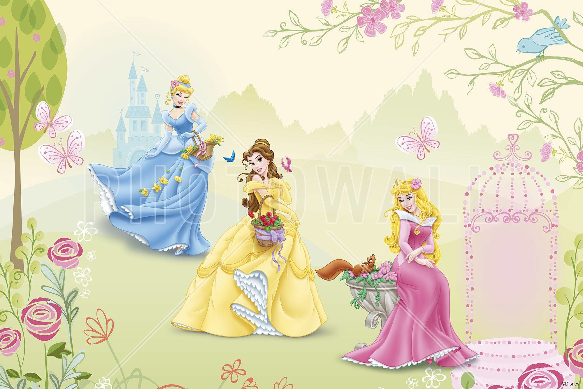 Disney Princess Wall Murals - Disney Princess - HD Wallpaper 