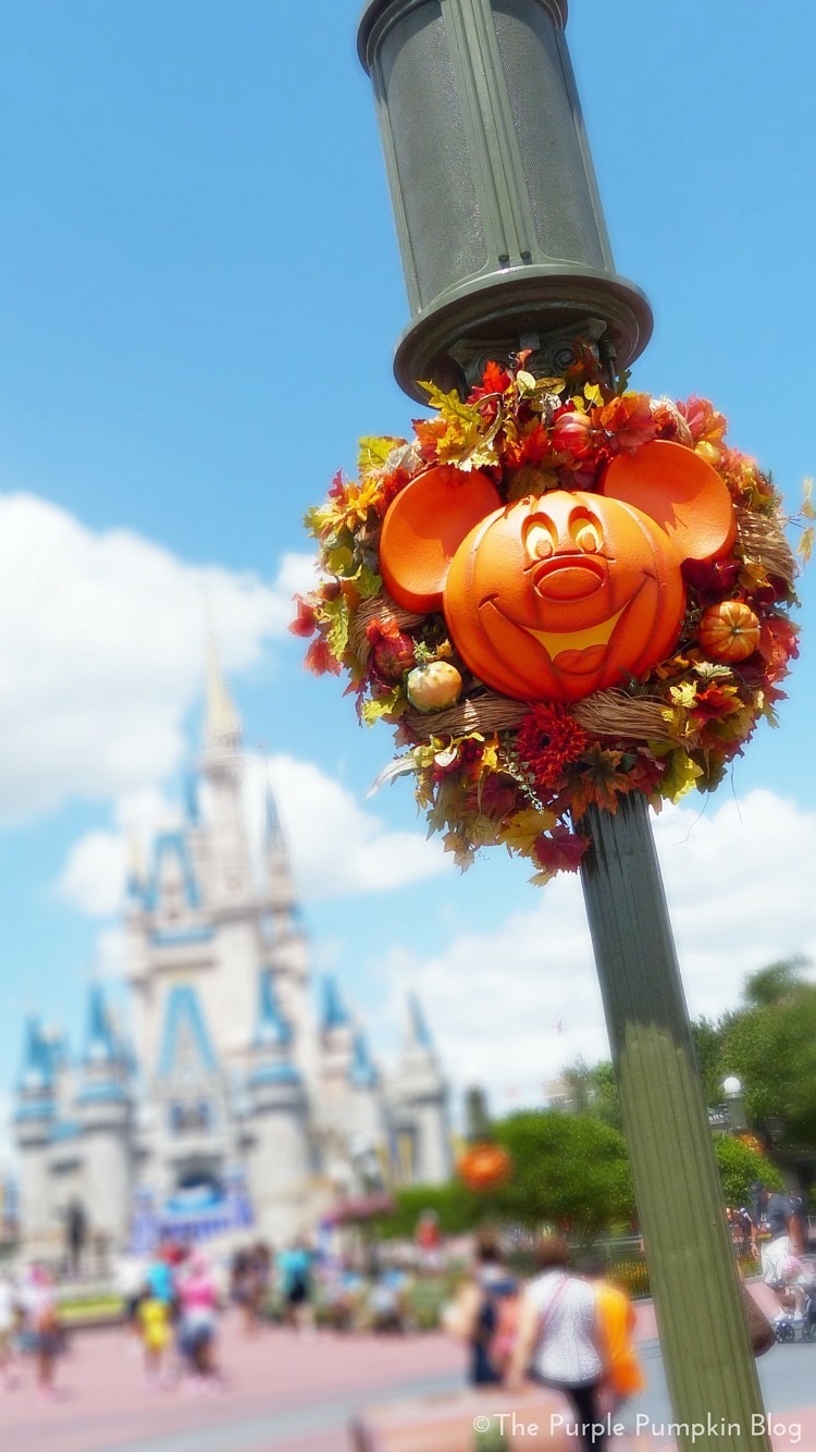 Disney Fall Wallpaper Iphone - HD Wallpaper 