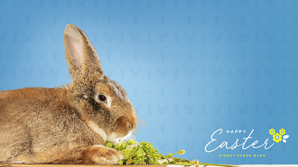 Easter - HD Wallpaper 