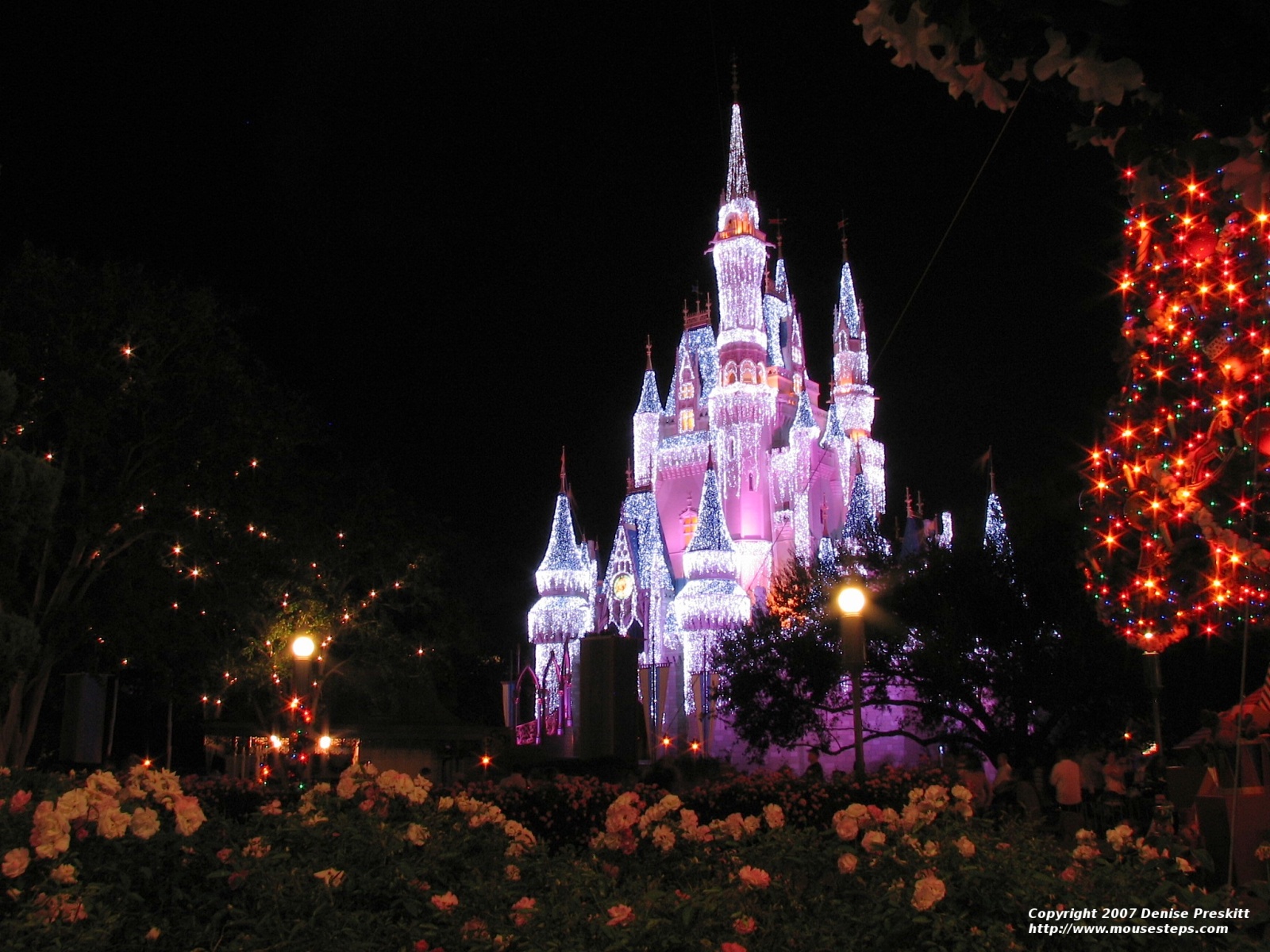 Disney World, Cinderella Castle - HD Wallpaper 