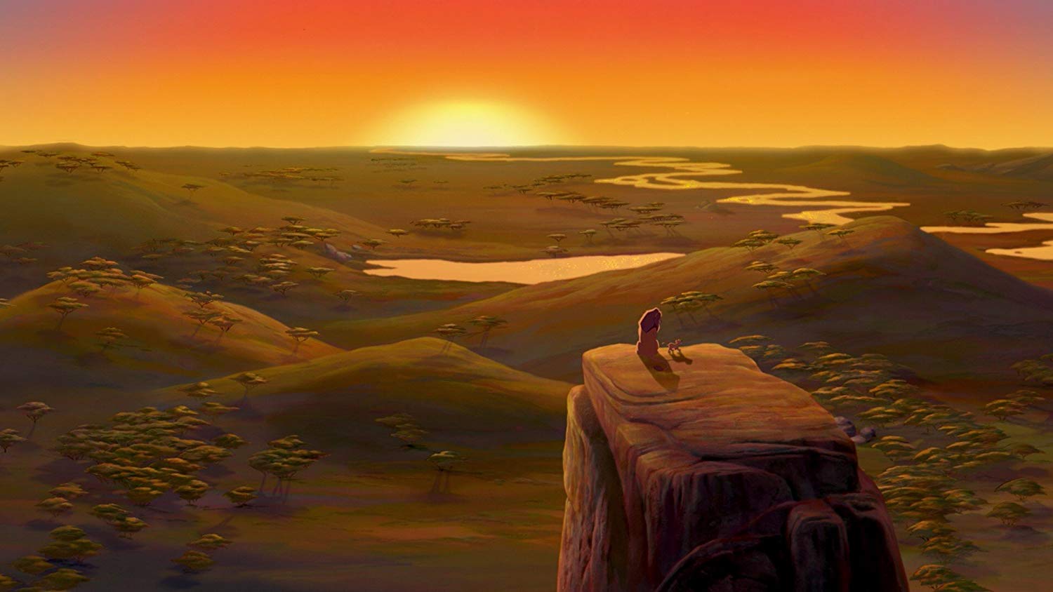 Posterhouzz Movie The Lion King Lion King Lion Disney - Lion King Looking Over Kingdom - HD Wallpaper 
