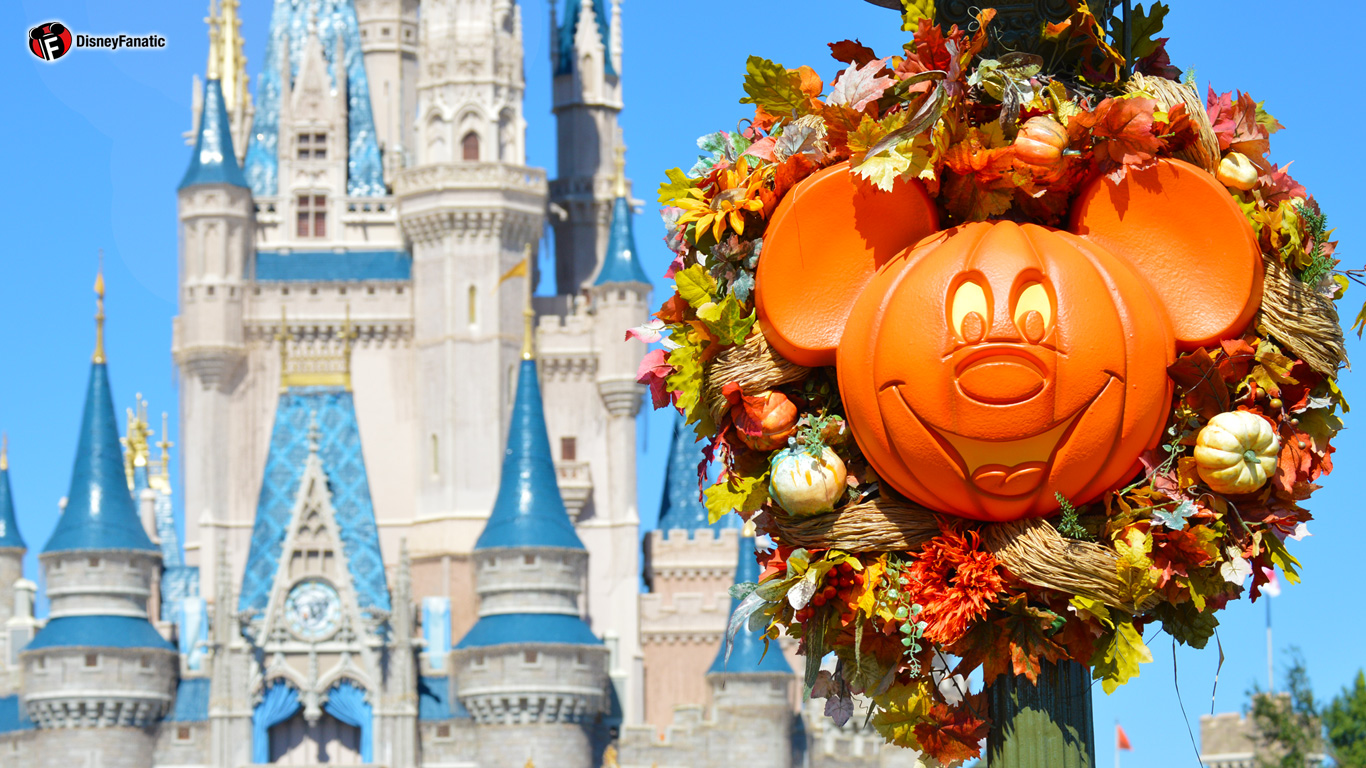 Disney World, Cinderella Castle - HD Wallpaper 