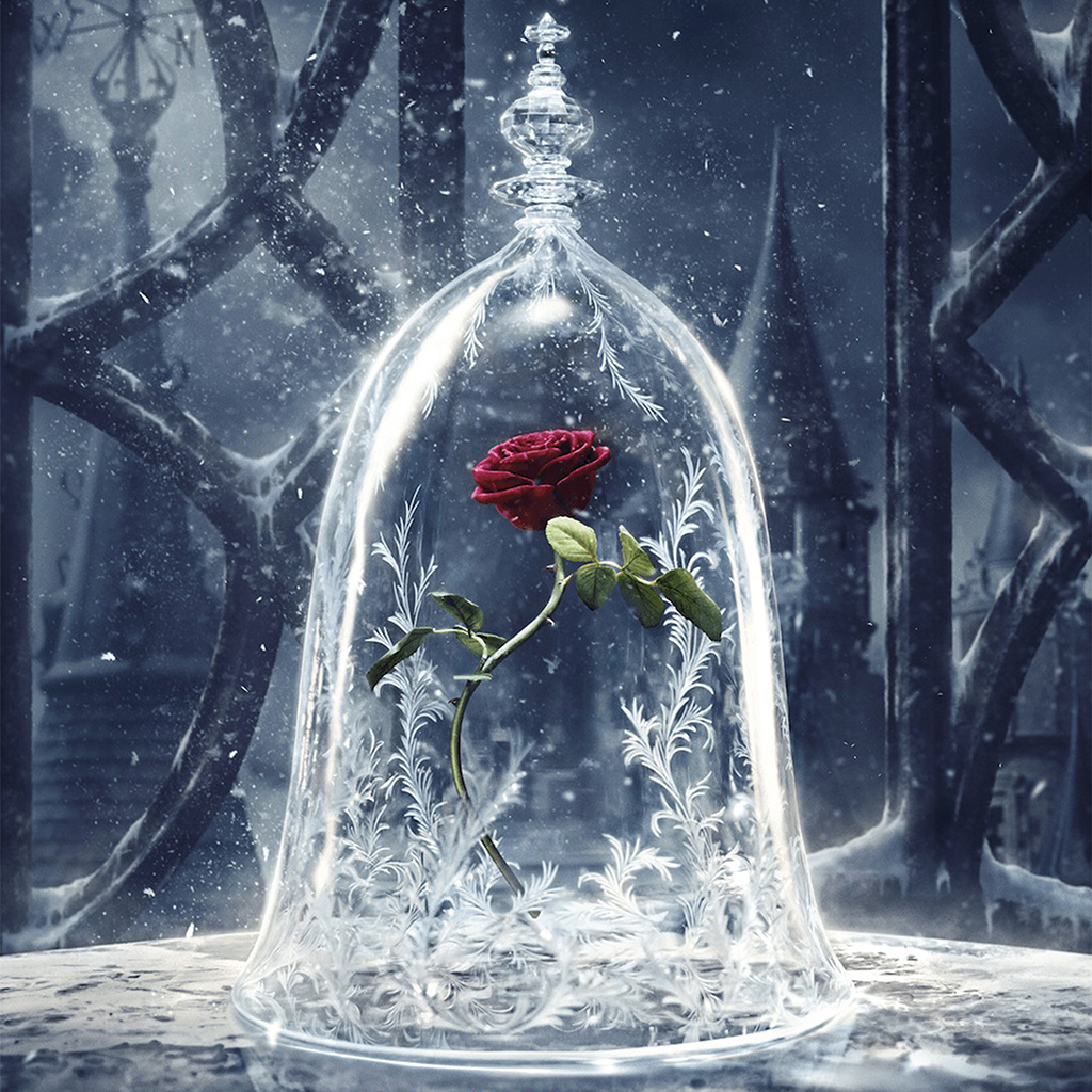 5d Diamond Painting Beauty And The Beast - HD Wallpaper 