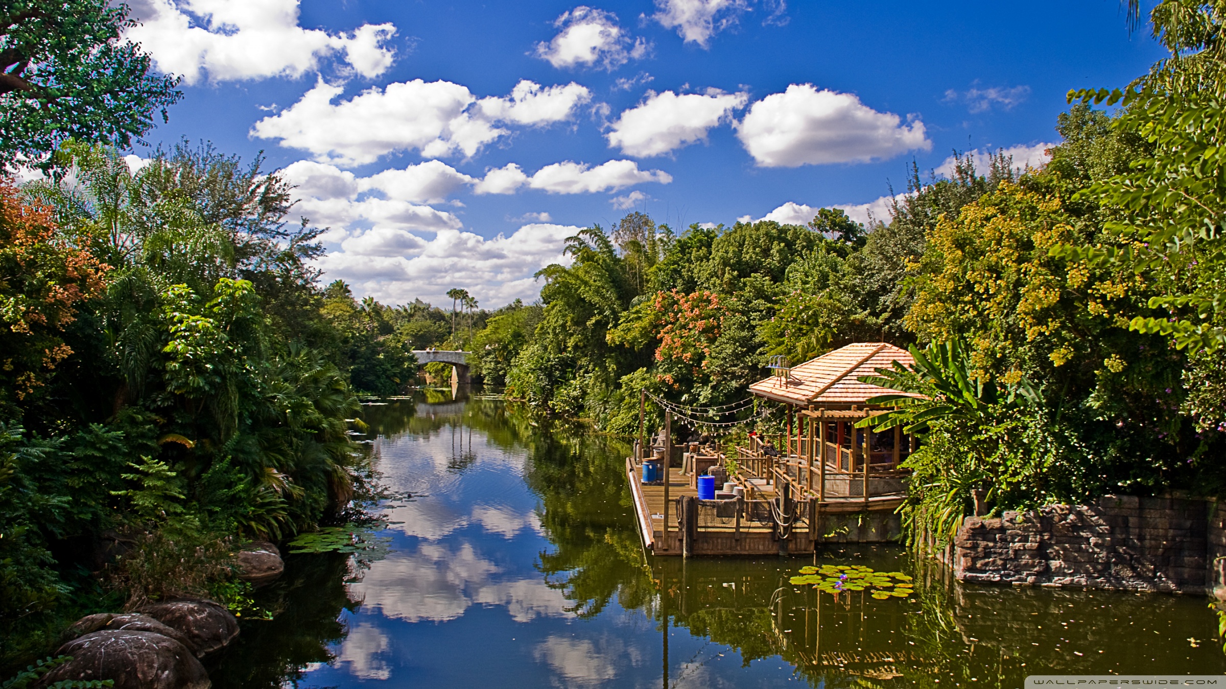 Disney Animal Kingdom Desktop - HD Wallpaper 