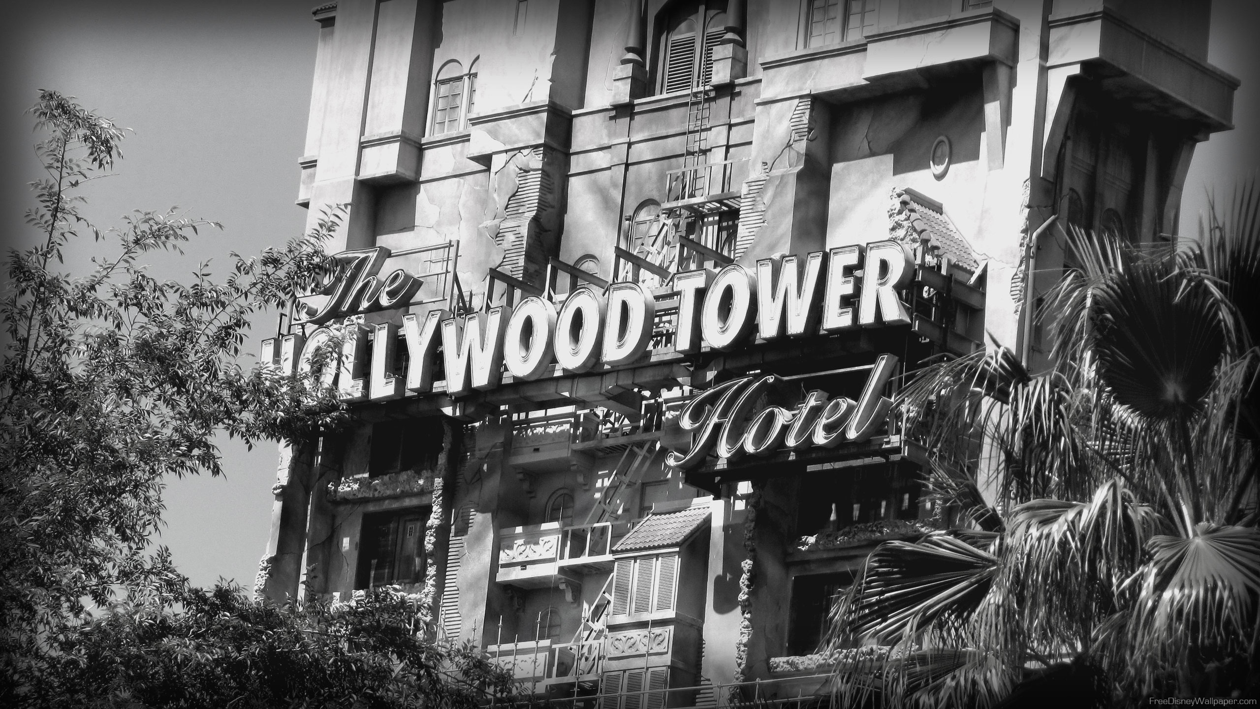 Disney World, The Twilight Zone Tower Of Terror - HD Wallpaper 
