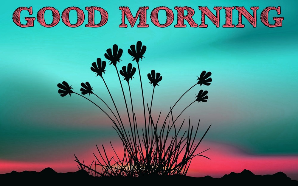 Good Morning New Hd Wallpaper - Wisgoon - HD Wallpaper 