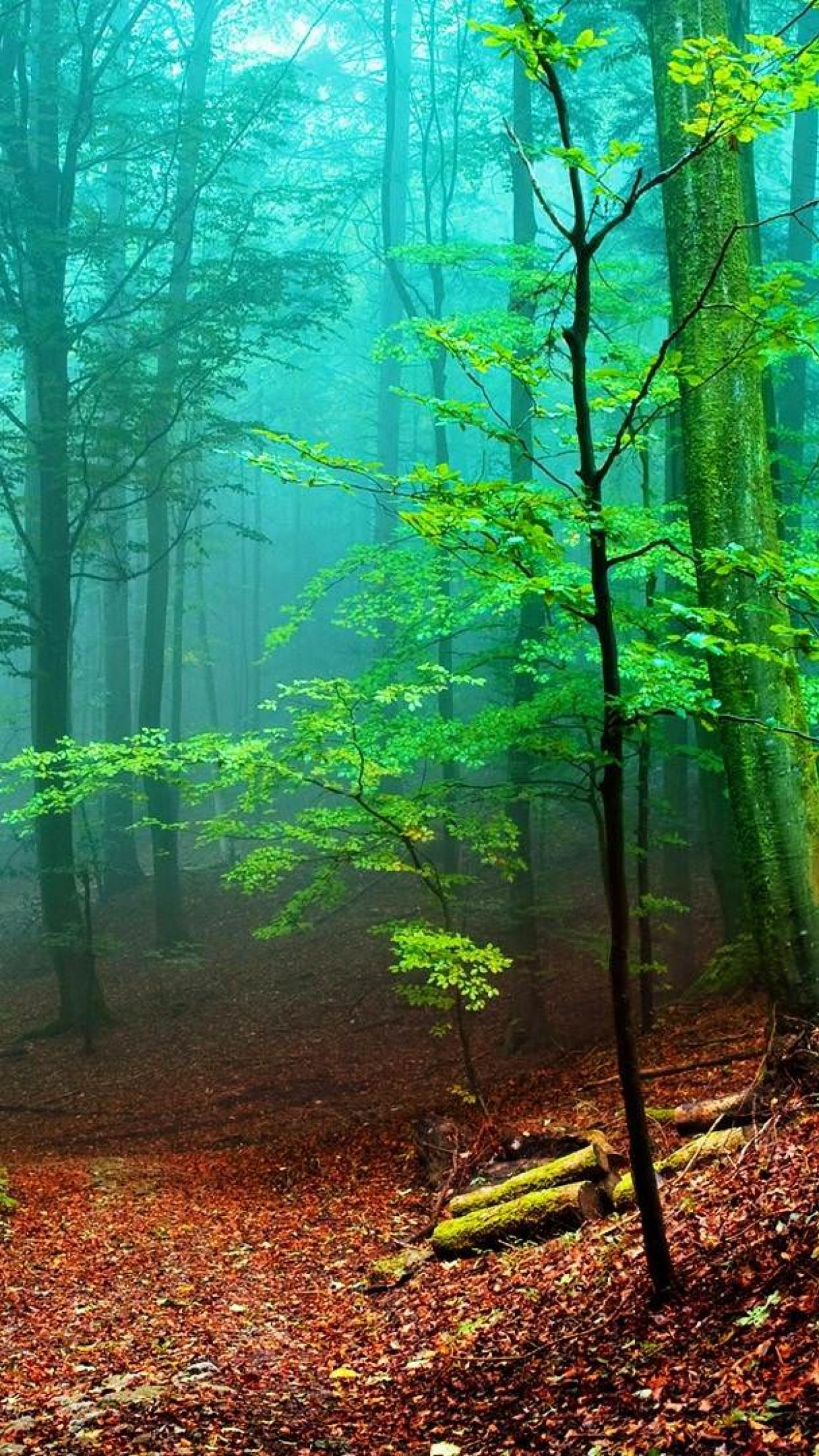 New Hd Wallpaper - Wallpaper - HD Wallpaper 