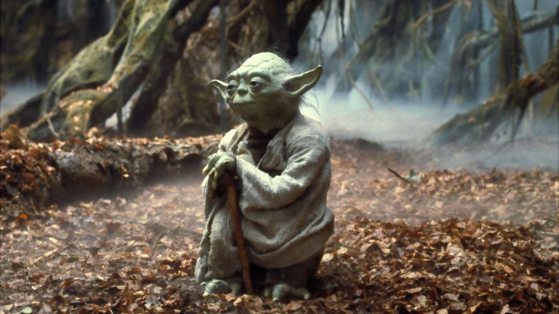 Yoda, Star Wars - Background Star Wars Yoda - HD Wallpaper 