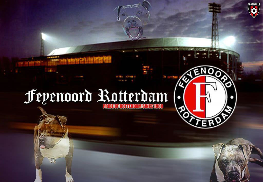 Feyenoord Wallpaper - Stadion Feyenoord Diamond Painting - HD Wallpaper 