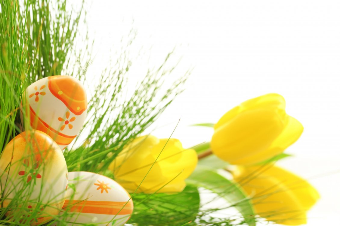 Download Wallpaper Yellow Tulips And Beautiful Coloured - Yellow Tulips Happy Easter - HD Wallpaper 