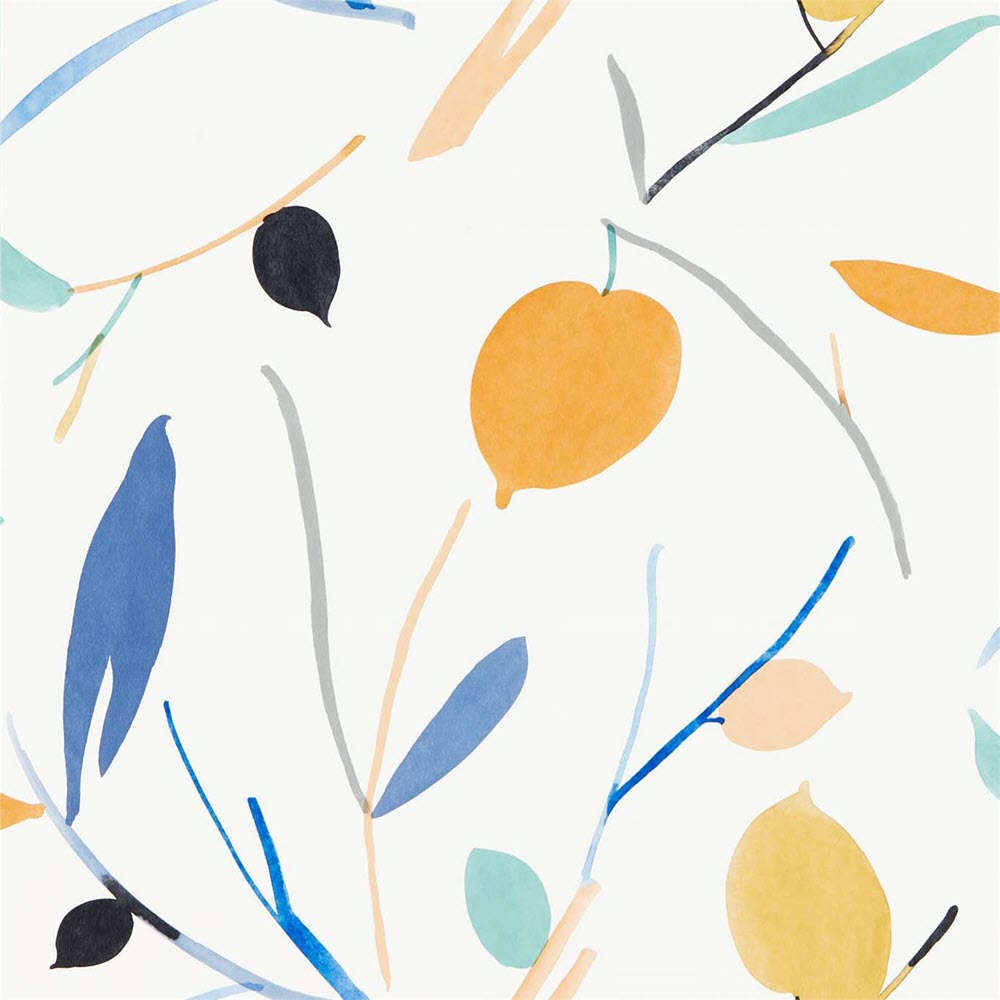 Scion Oxalis - HD Wallpaper 