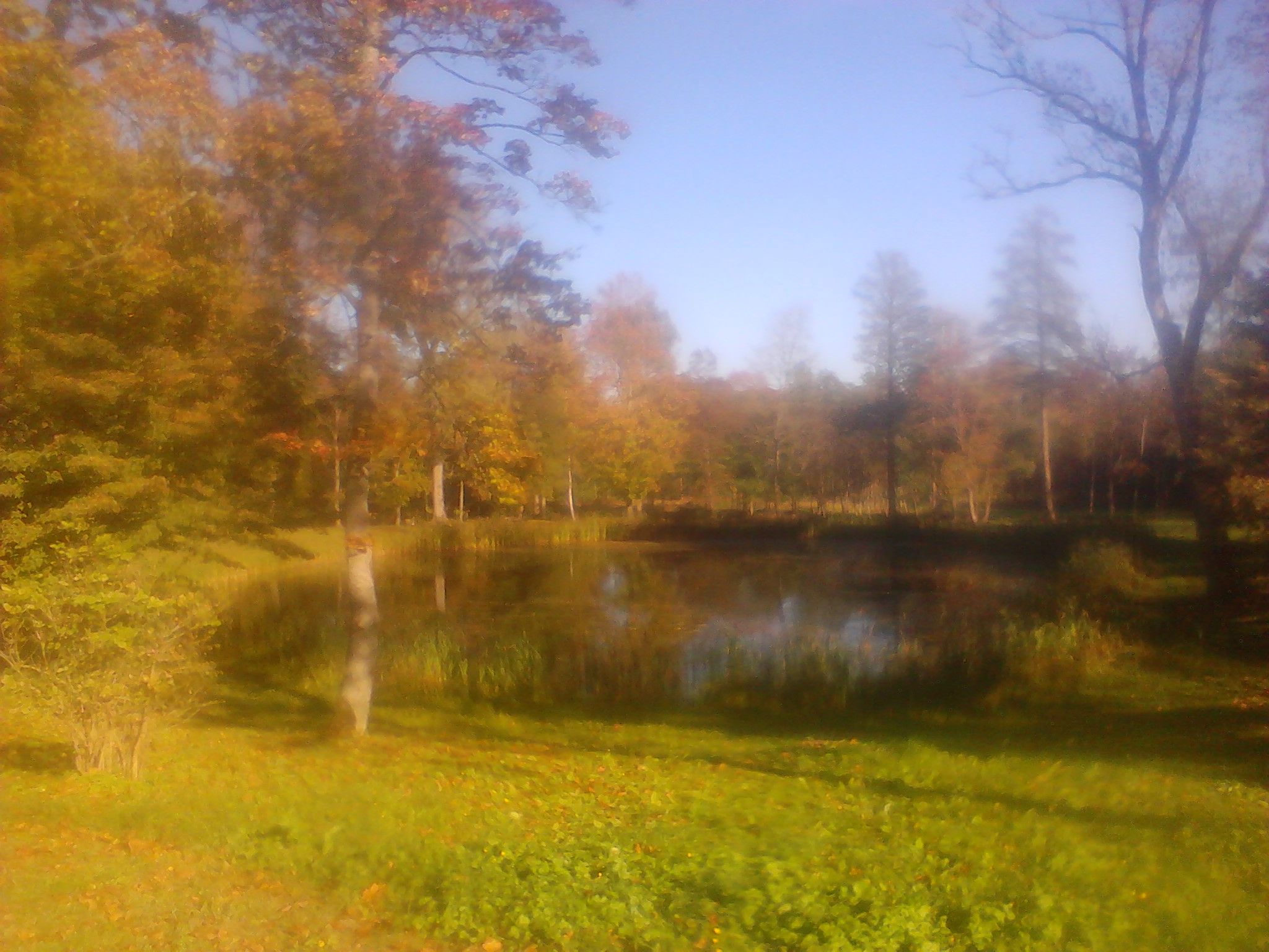 Reflection - HD Wallpaper 