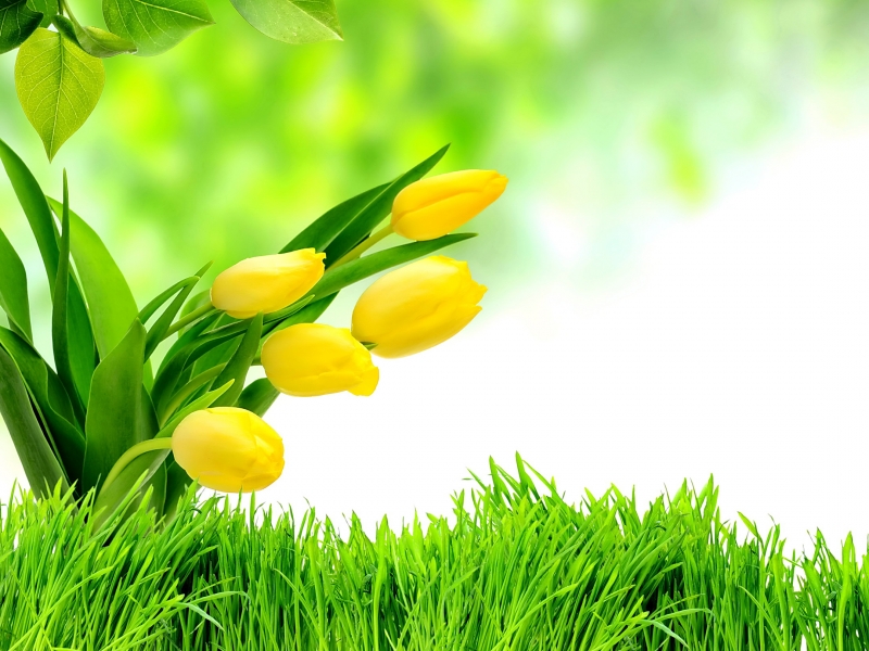 Have A Good And Blessed Saturday - HD Wallpaper 